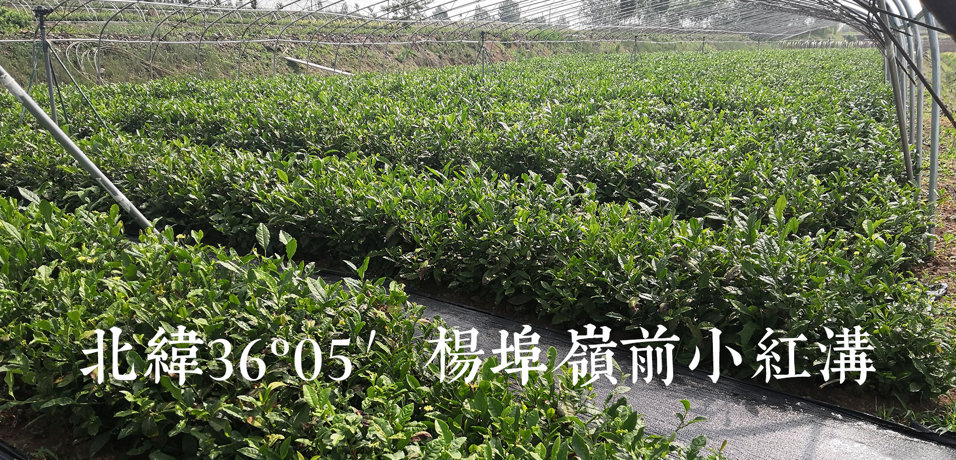 華創(chuàng)眾信智能設(shè)備（山東）有限公司